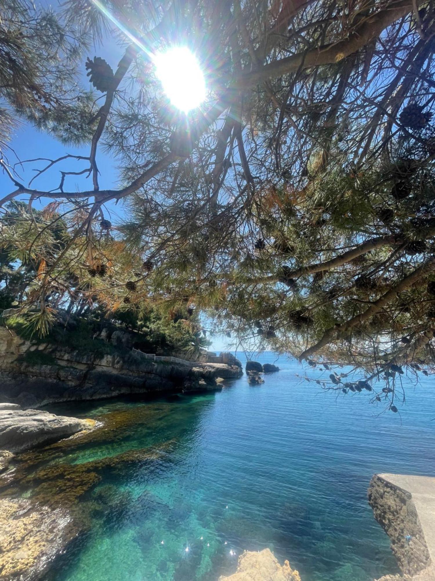 Corpus A - Hotel Albatros Ulcinj Exteriör bild